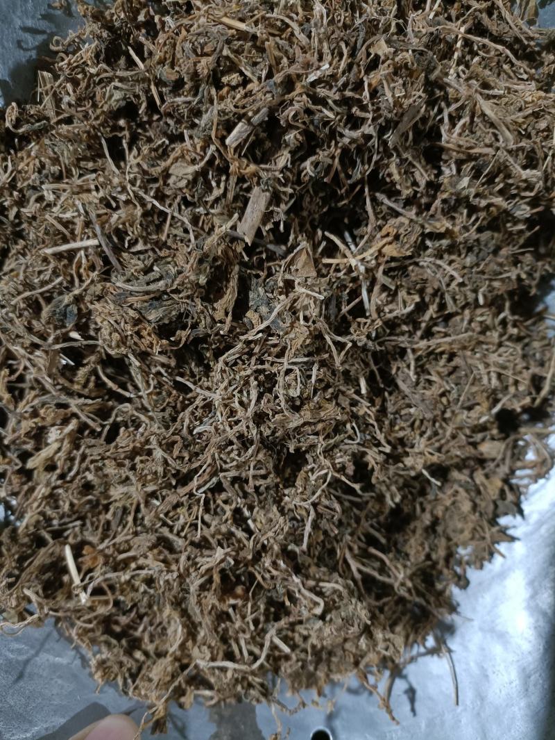 垂盆草新货颜色好货干供应各种中药材