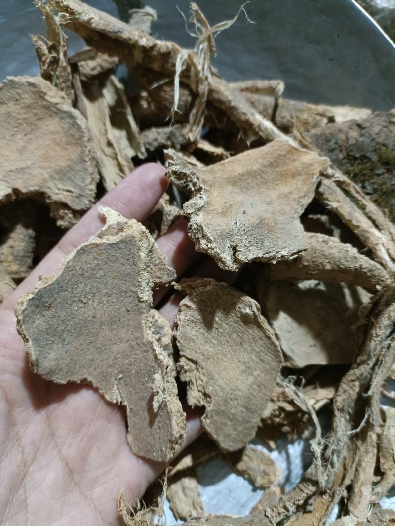 椿根皮椿皮统货货干供应各种中药材