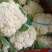 精品松花大量上市，需要的可以联系