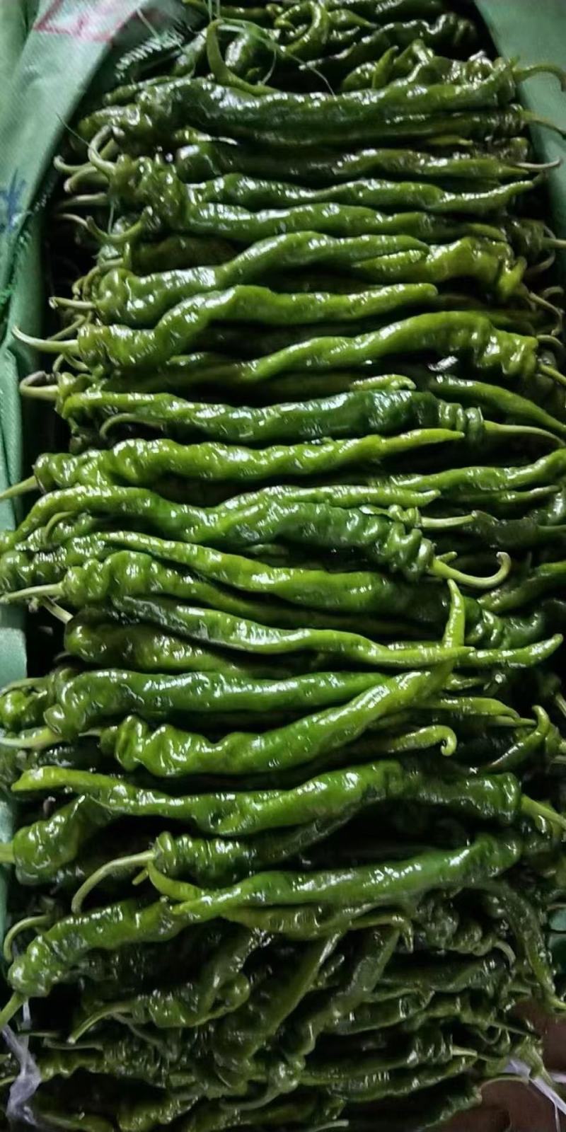 各类蔬菜代办价格面议