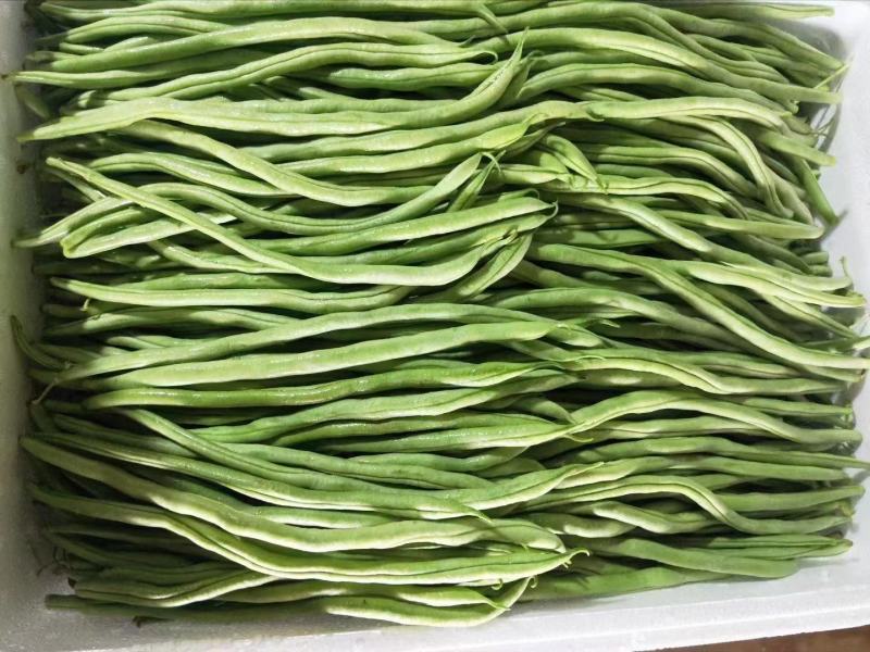 各类蔬菜代办价格面议