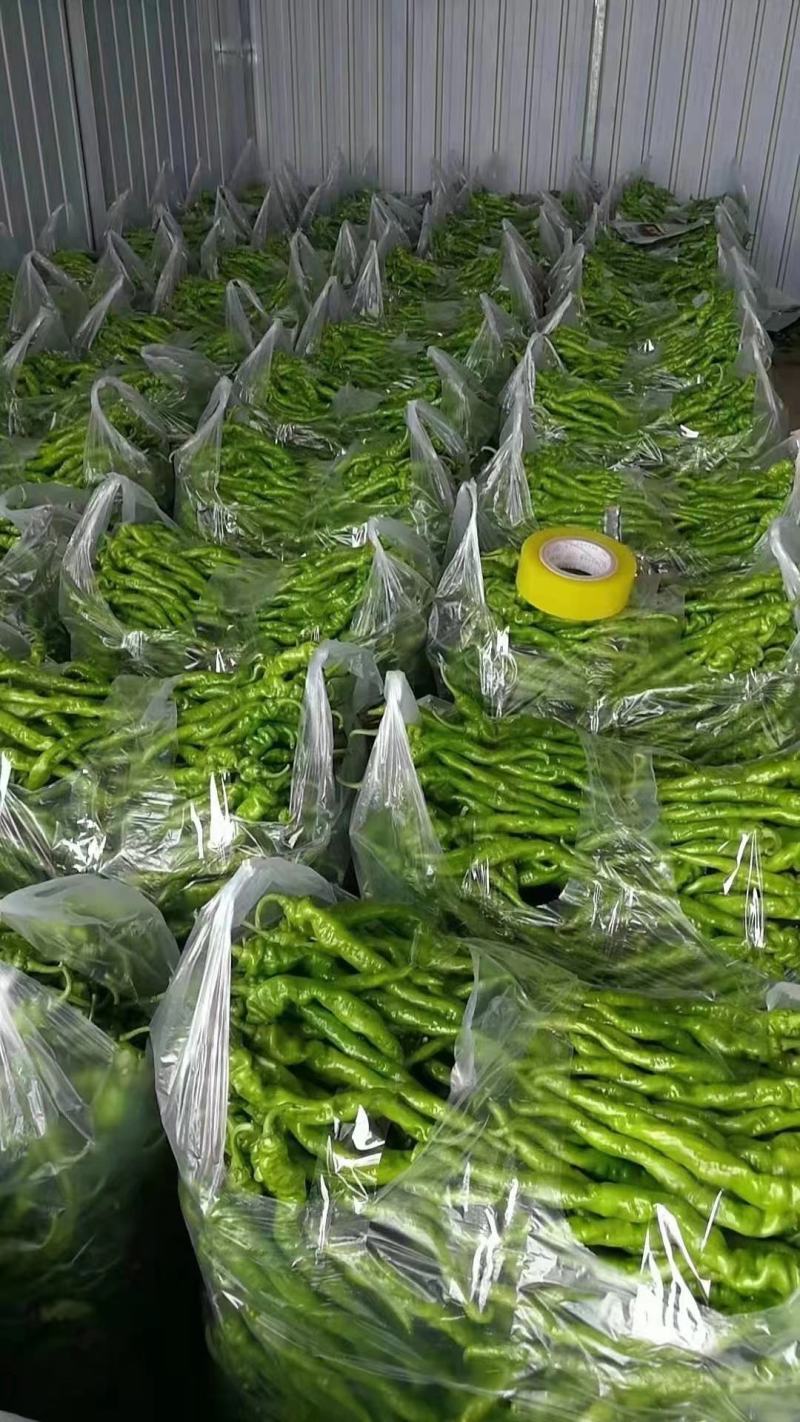 各类蔬菜代办价格面议
