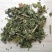 芙蓉叶干货中药材量大从优！欢迎选购！