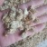 【诺一药材】菊花药用菊花精品药材