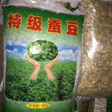 大青皮蚕豆种子，新货上市