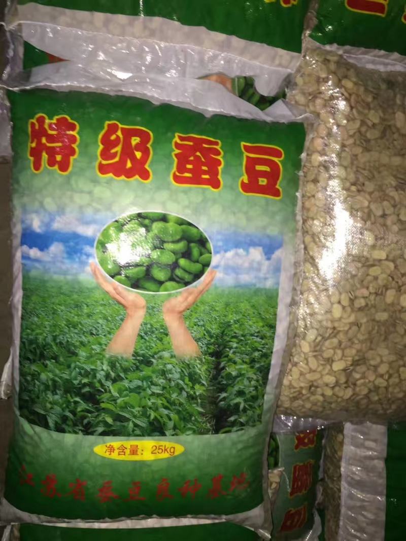 大青皮蚕豆种子，新货上市