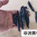 中药材金边水蛭蚂蝗干货另有清水吊干水蛭干货