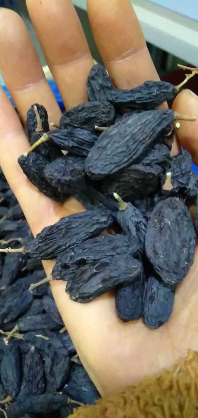 【好货精选】特优黑加仑，100克85-90粒特大黑加仑