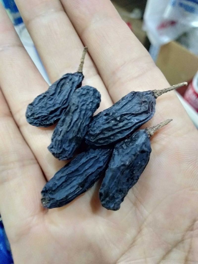 【好货精选】特优黑加仑，100克85-90粒特大黑加仑