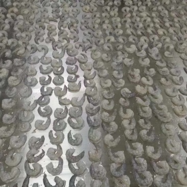 干冰虾仁，一手货源，工厂直销，20斤一箱