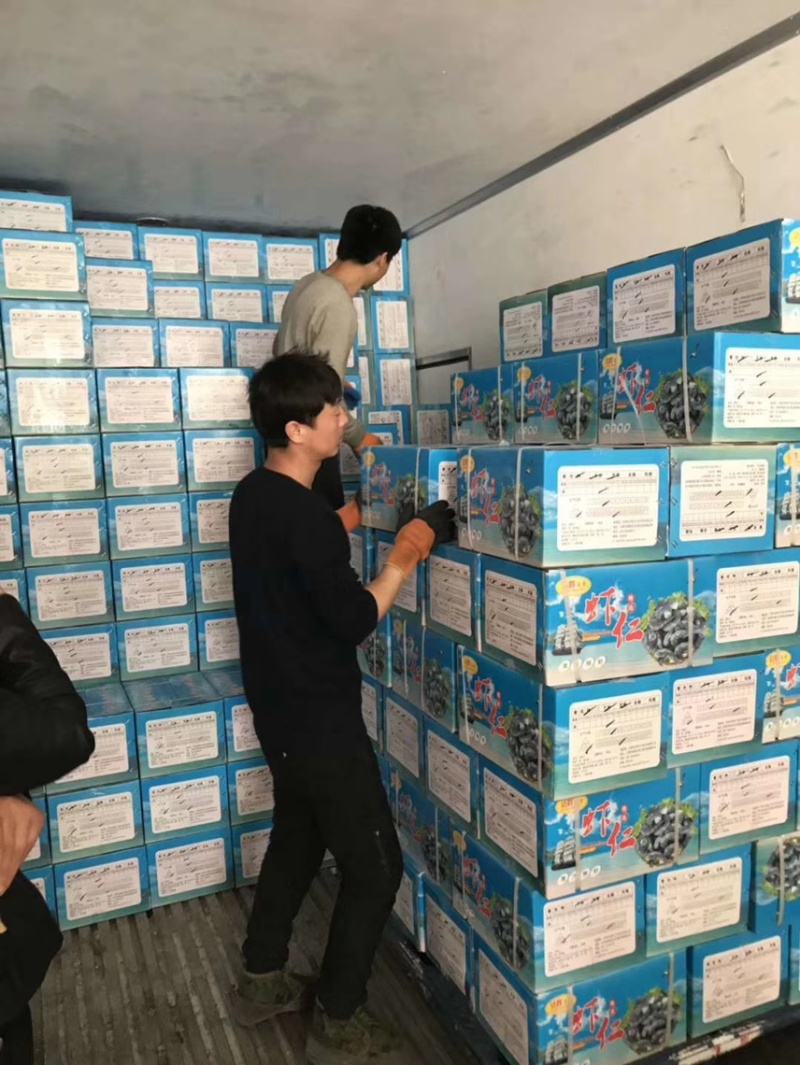 干冰虾仁，一手货源，工厂直销，20斤一箱
