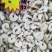 干冰虾仁，一手货源，工厂直销，20斤一箱