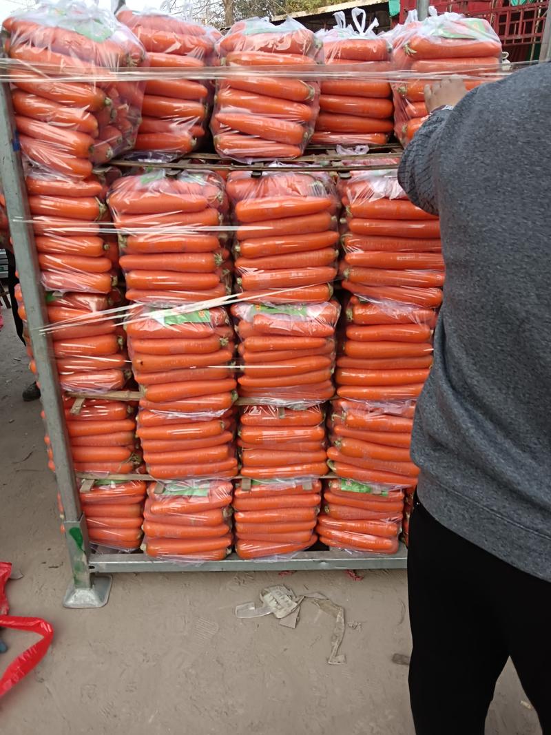 福建精品胡萝卜三红胡萝卜水洗半苗全苗产地直销对接商超