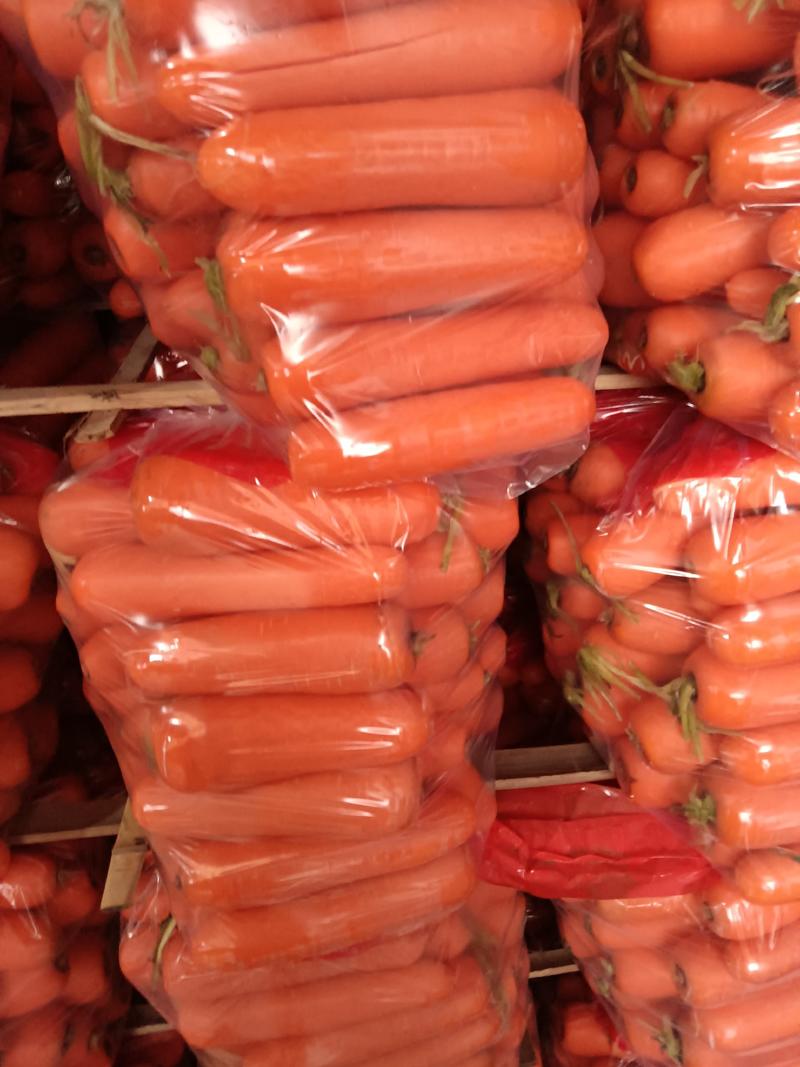 福建精品胡萝卜三红胡萝卜水洗半苗全苗产地直销对接商超