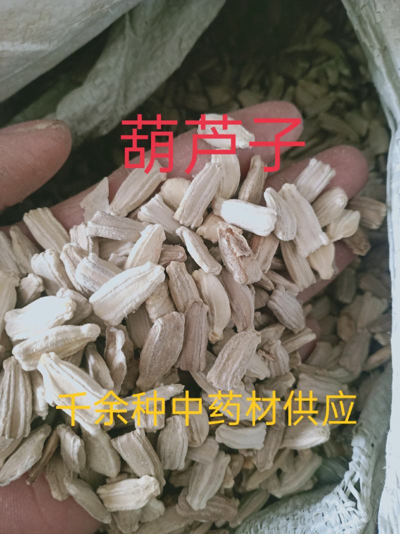 芦葫子，芦葫壳新货质量保证经营各种中药材欢迎咨询选购