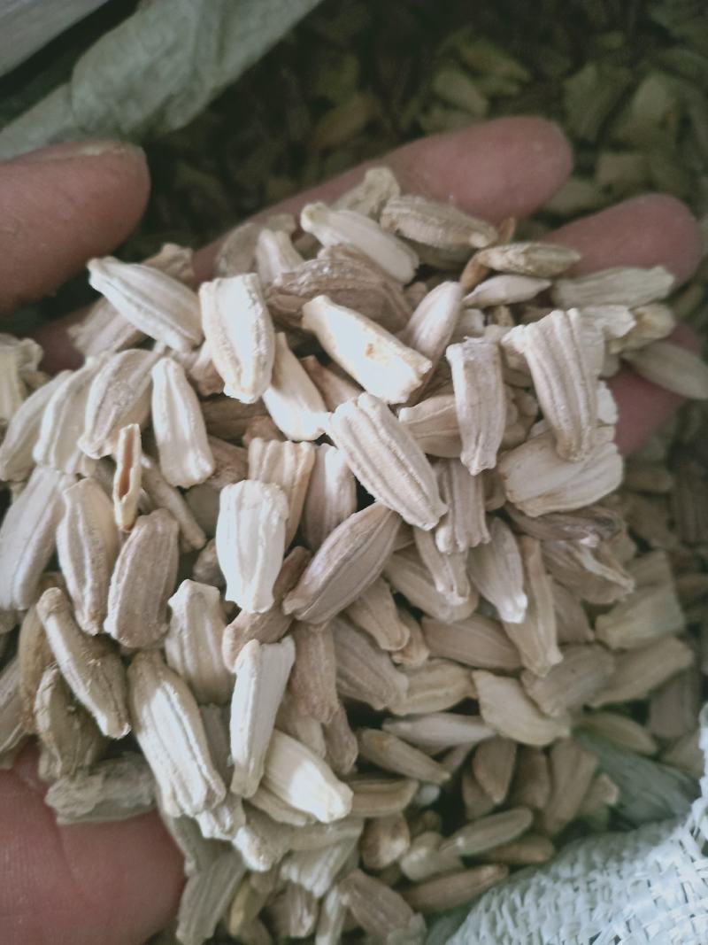 芦葫子，芦葫壳新货质量保证经营各种中药材欢迎咨询选购