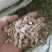 芦葫子，芦葫壳新货质量保证经营各种中药材欢迎咨询选购