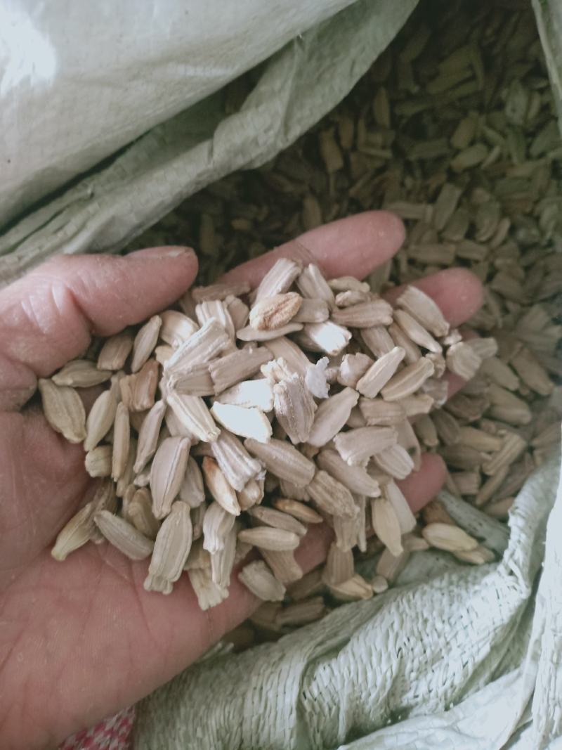 芦葫子，芦葫壳新货质量保证经营各种中药材欢迎咨询选购