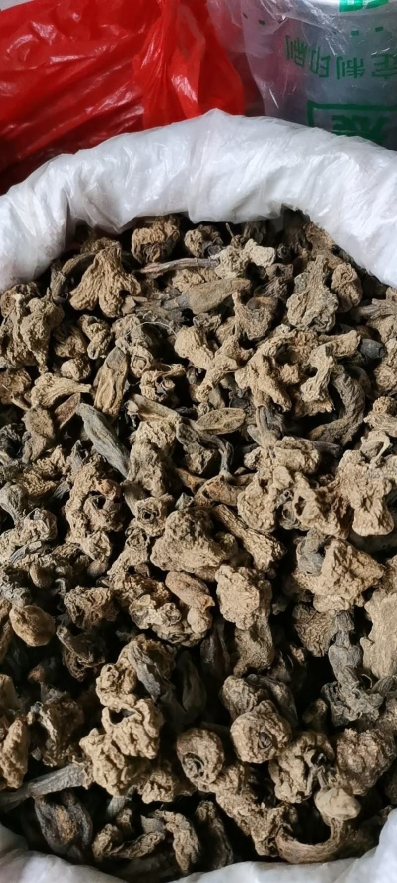 回春草，一手货源，产地直发，品质保证请放心选购