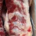 牛胸排骨，几块钱一斤！肉多，一手货源，长期有货