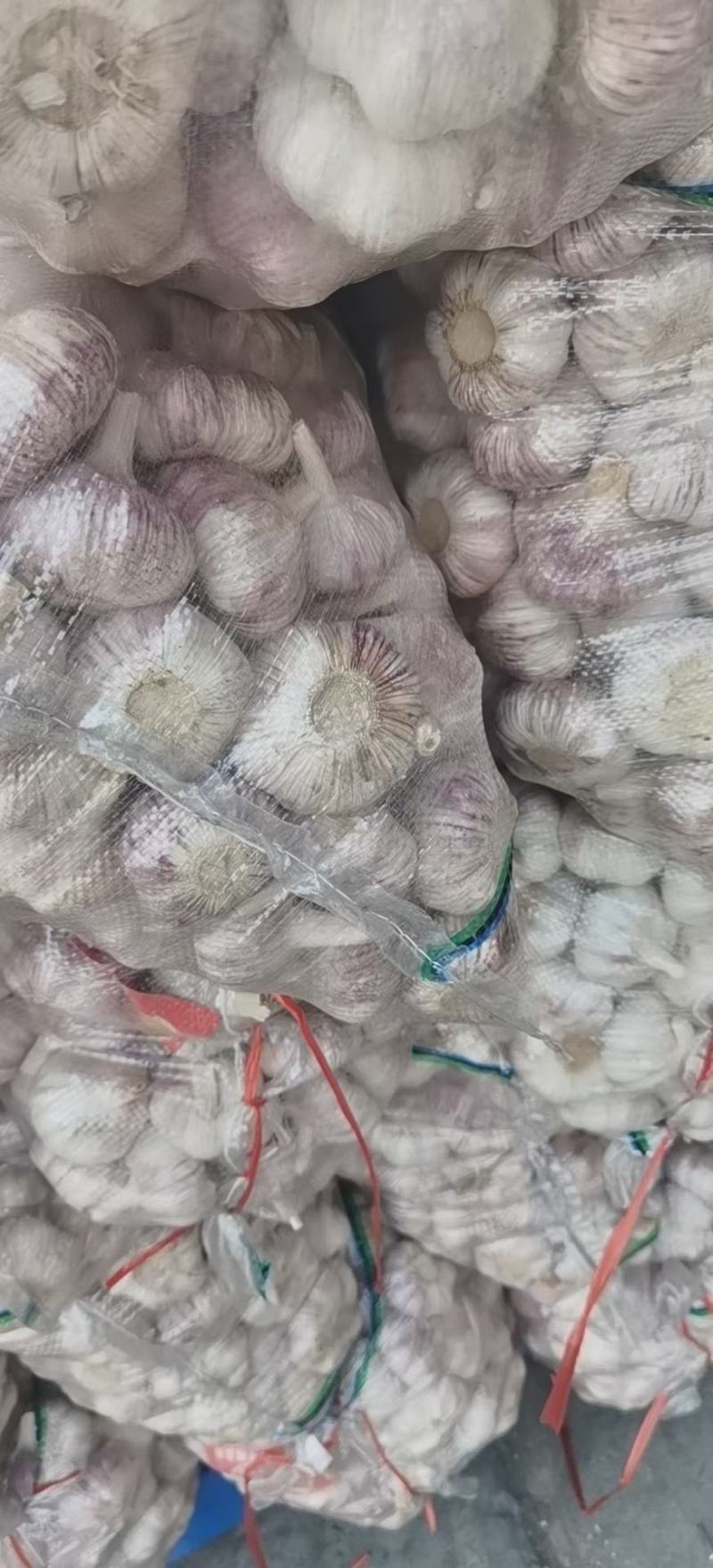 邳州精品蒜，货源充足，常年供应商，