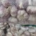 邳州精品蒜，货源充足，常年供应商，