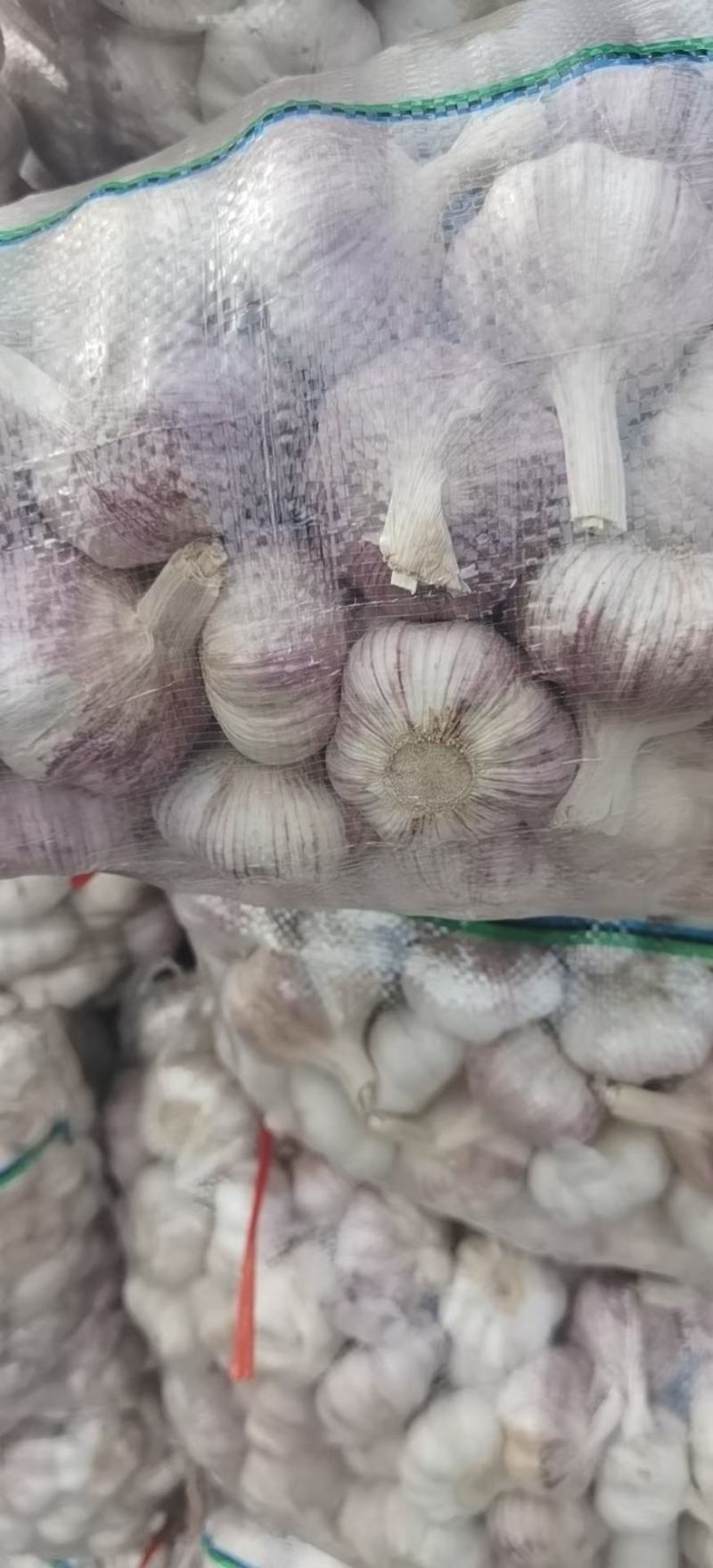 邳州精品蒜，货源充足，常年供应商，