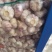 邳州精品蒜，货源充足，常年供应商，