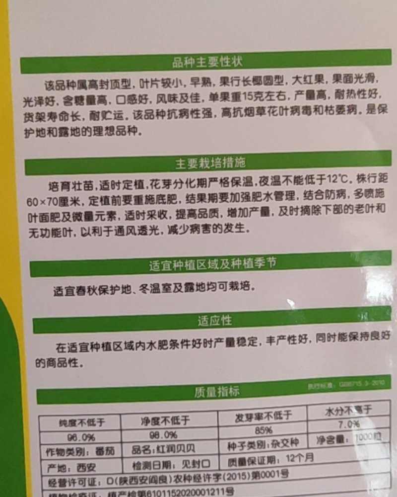 红润贝贝番茄种子