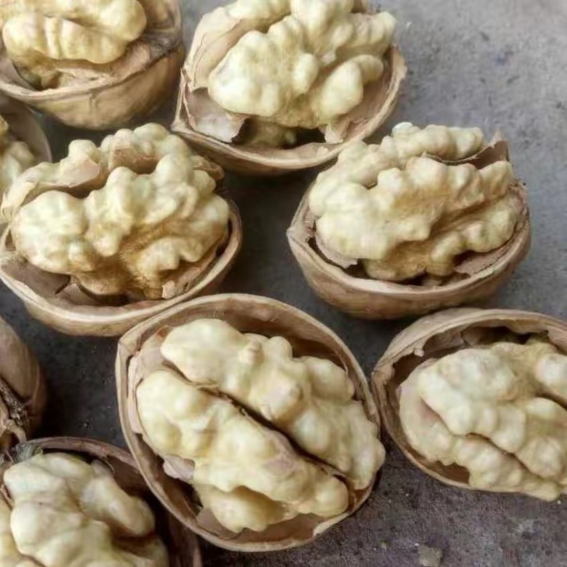 新疆185核桃仁，可整车，整箱发货