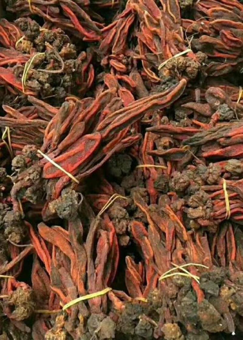 回春草500g包邮康辰药业批发各种中药材