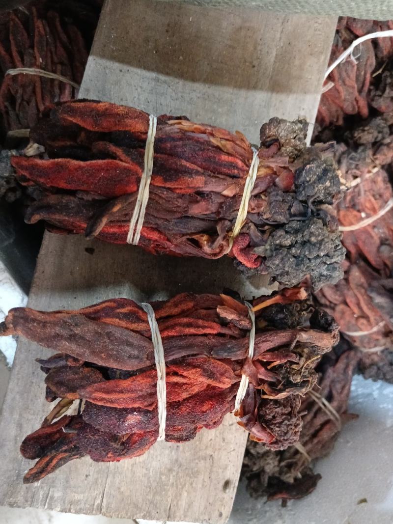 回春草500g包邮康辰药业批发各种中药材