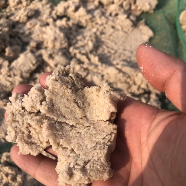 红薯干粉渣，商薯19，济薯25粉渣，无杂质，非常干净！！