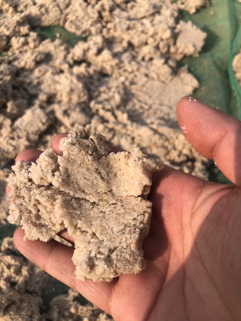 红薯干粉渣，商薯19，济薯25粉渣，无杂质，非常干净！！