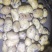 土豆内蒙黄心土豆V7西森土豆一手货源,全国发货,质量保证