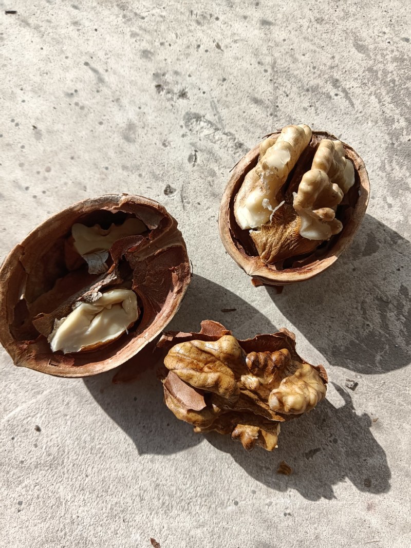 新二核桃……今年的，产地货源
