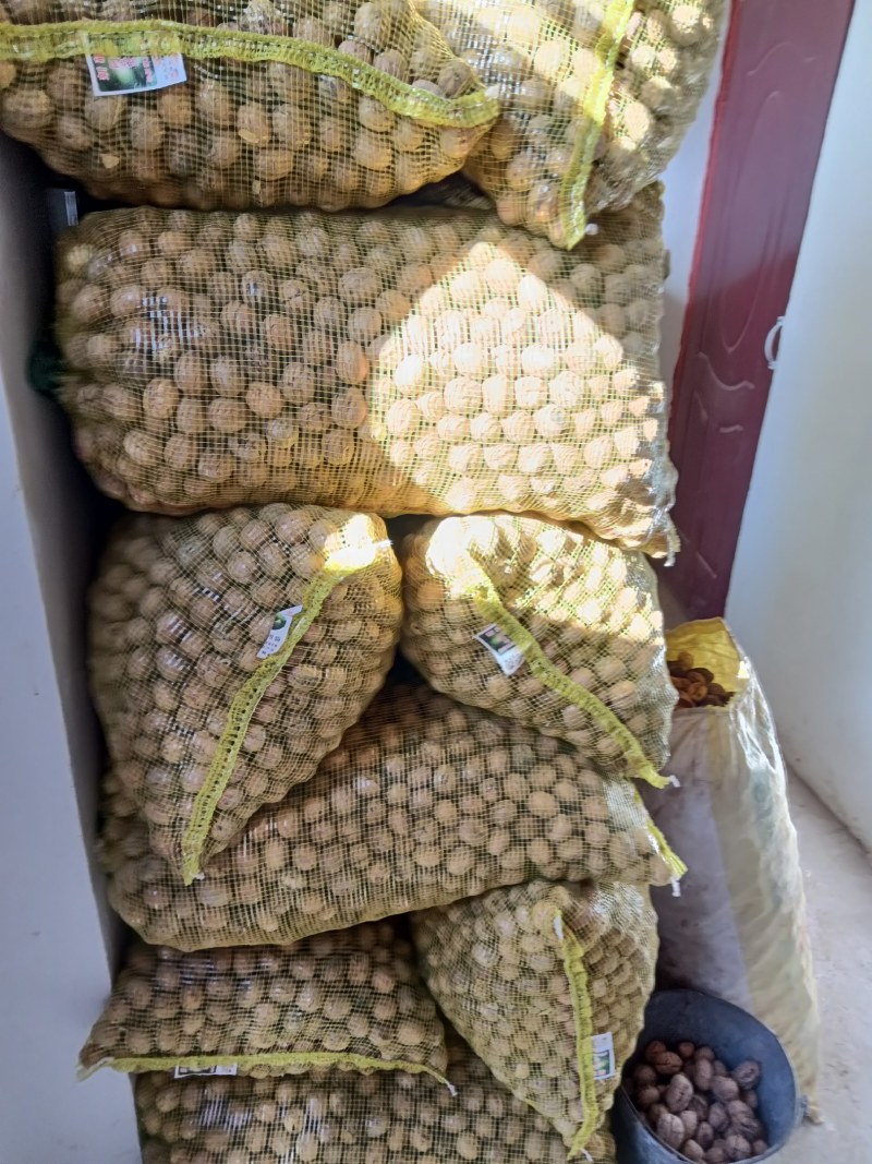 新二核桃……今年的，产地货源