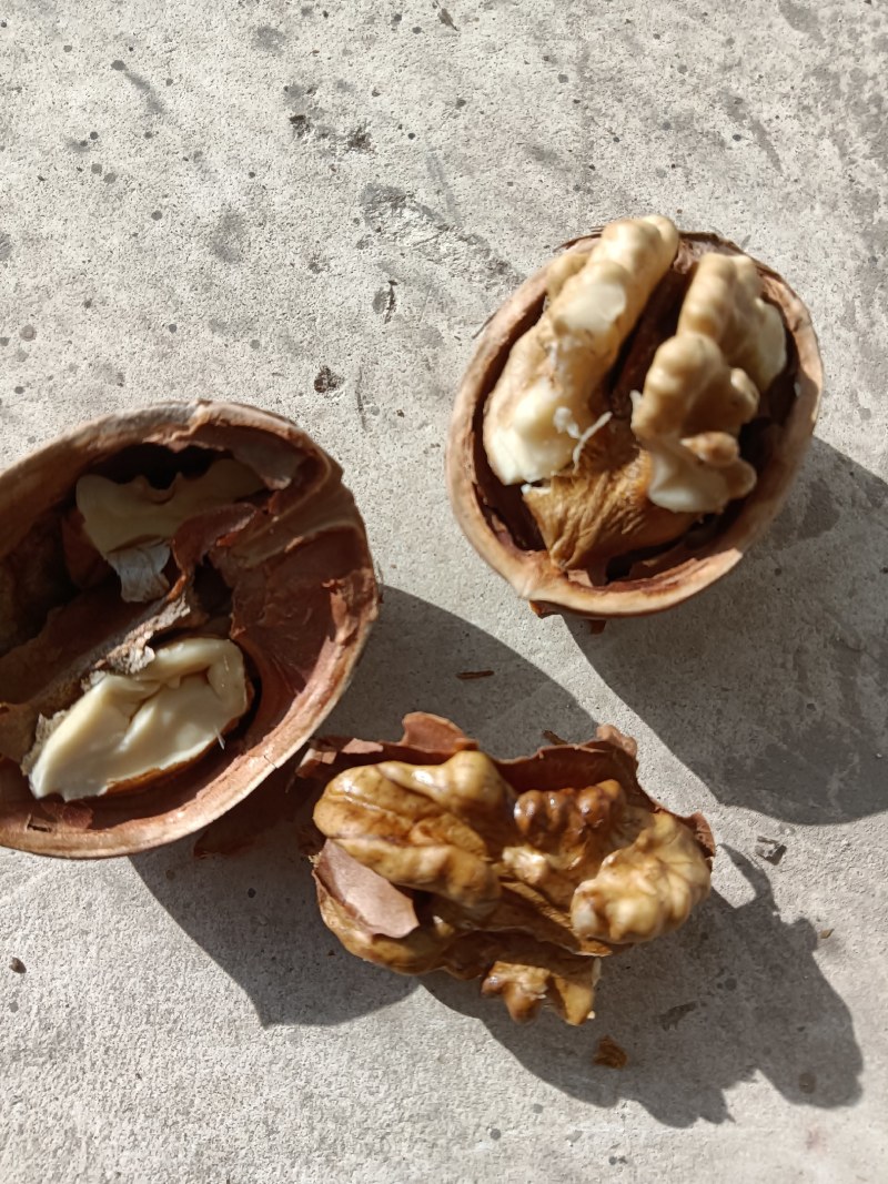 新二核桃……今年的，产地货源