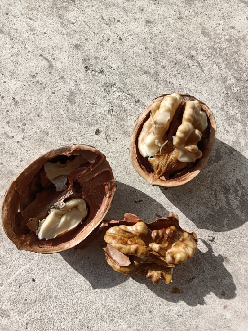 新二核桃……今年的，产地货源