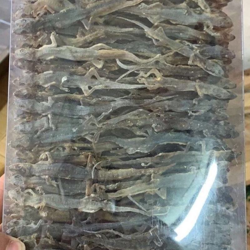 正品中药材爬墙虫壁虎干守宫天龙干可免费打粉多规