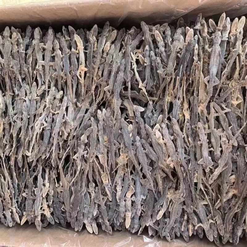 正品中药材爬墙虫壁虎干守宫天龙干可免费打粉多规