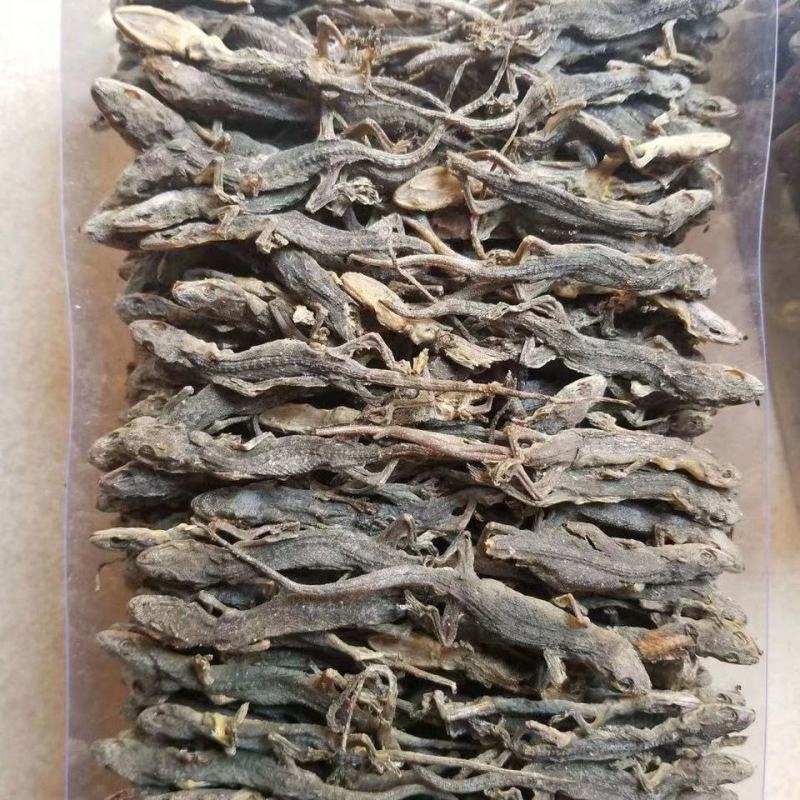 正品中药材爬墙虫壁虎干守宫天龙干可免费打粉多规