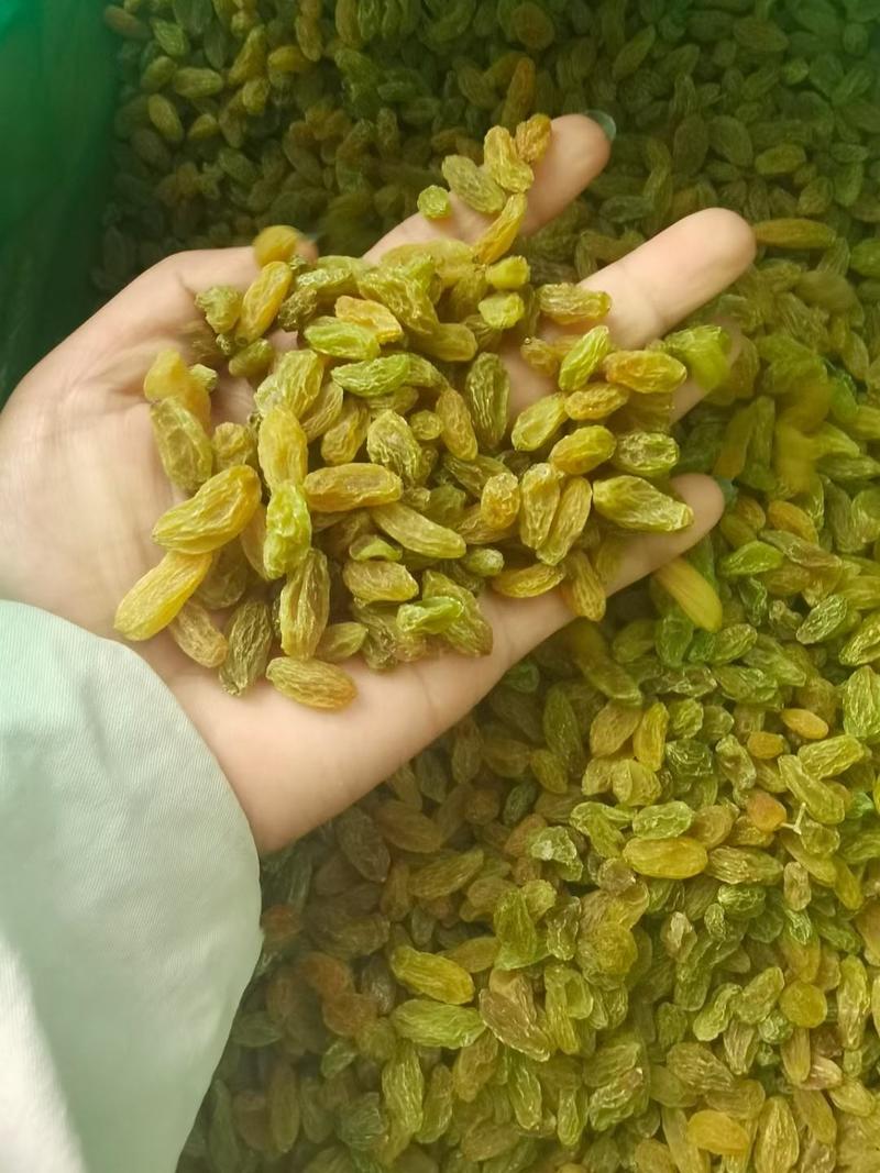 绿香妃葡萄干新疆吐鲁番葡萄干自然晾晒颜色鲜艳口感甜