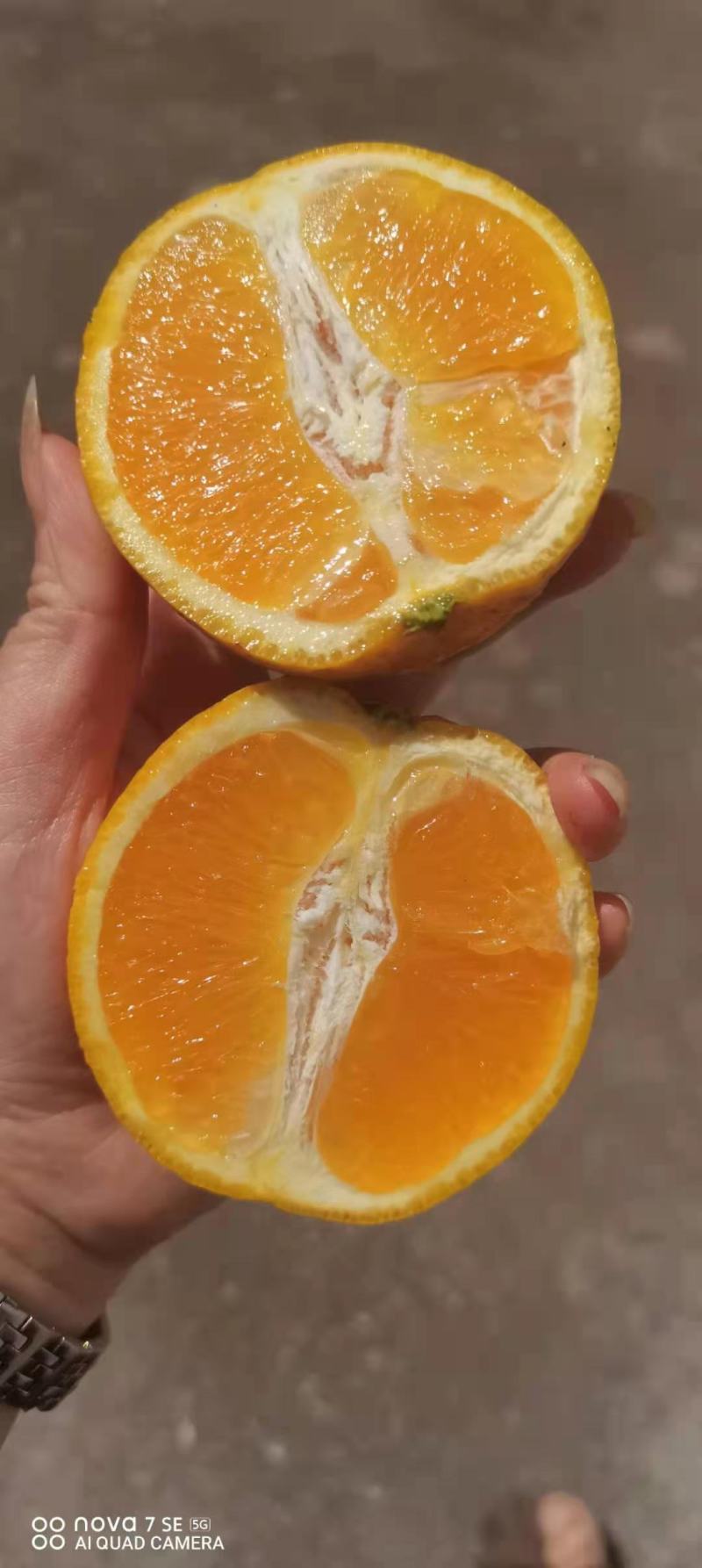 脐橙产地看货论价保质保量欢迎咨询订购