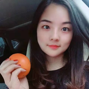 脐橙产地看货论价保质保量欢迎咨询订购