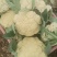 精品花菜，