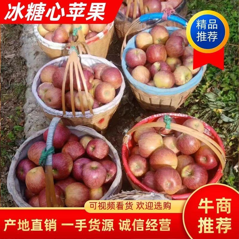 【精品推荐】四川汉源高山冰糖心丑苹果红富士苹果