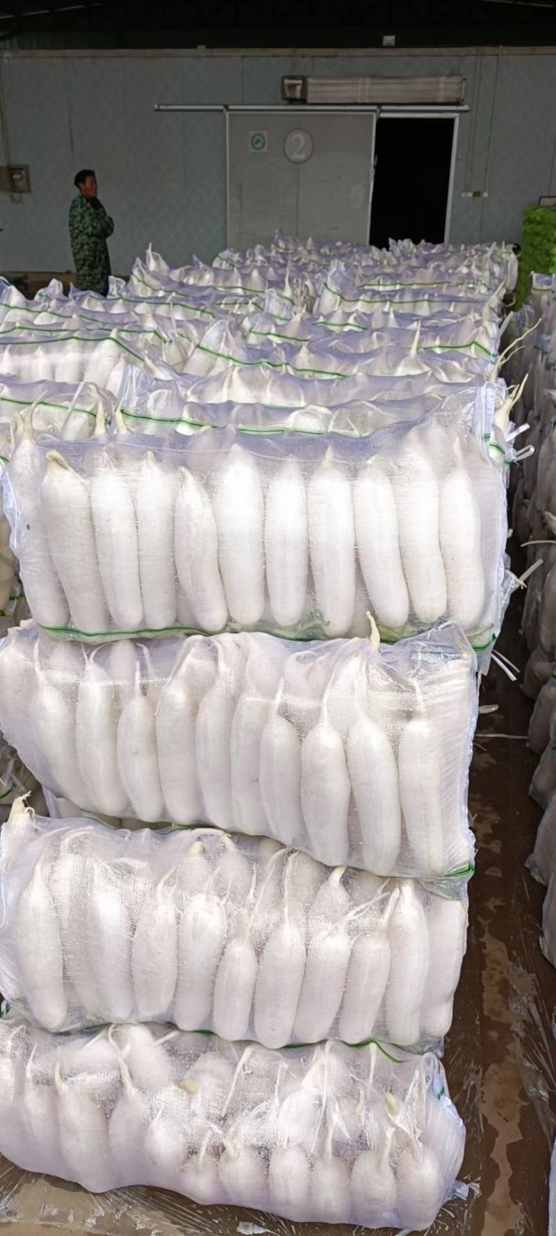精品萝卜白萝卜红皮萝卜一年四季供应支持打款发货