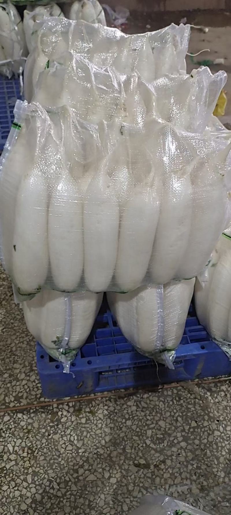 精品萝卜白萝卜红皮萝卜一年四季供应支持打款发货