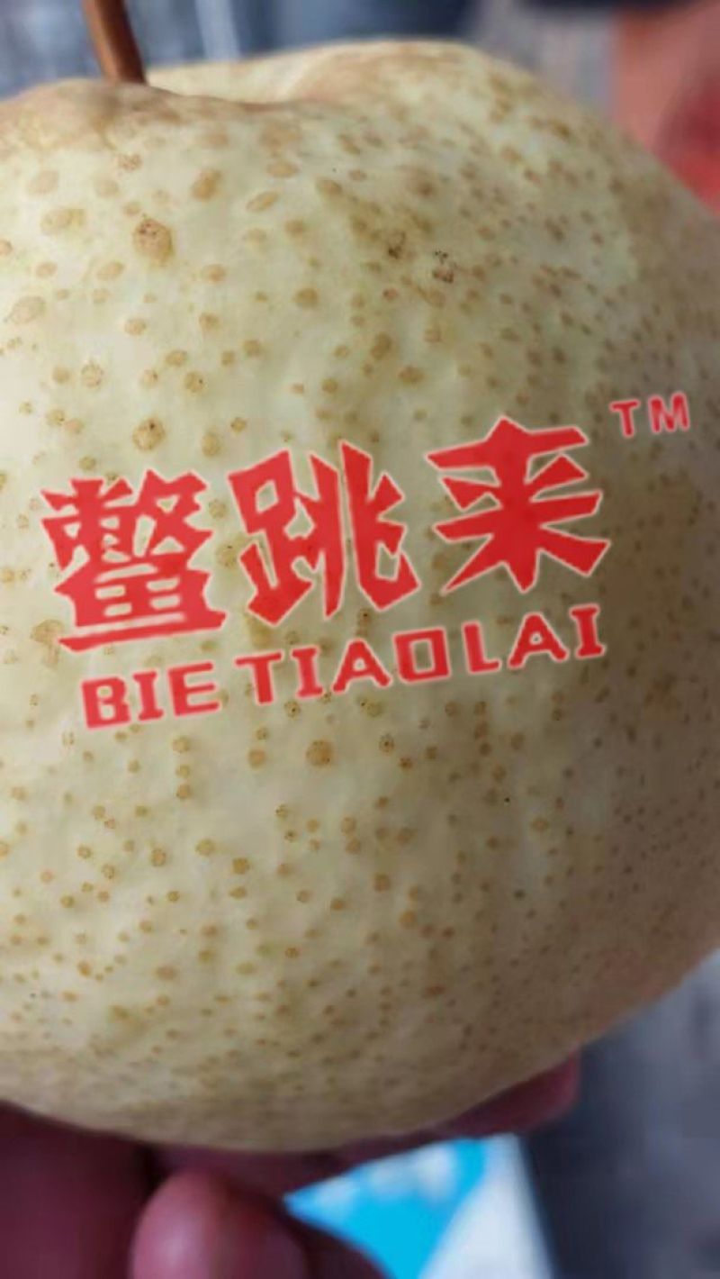 (包邮）山西运城王过酥梨，量大从优，产地直销，价格优惠。